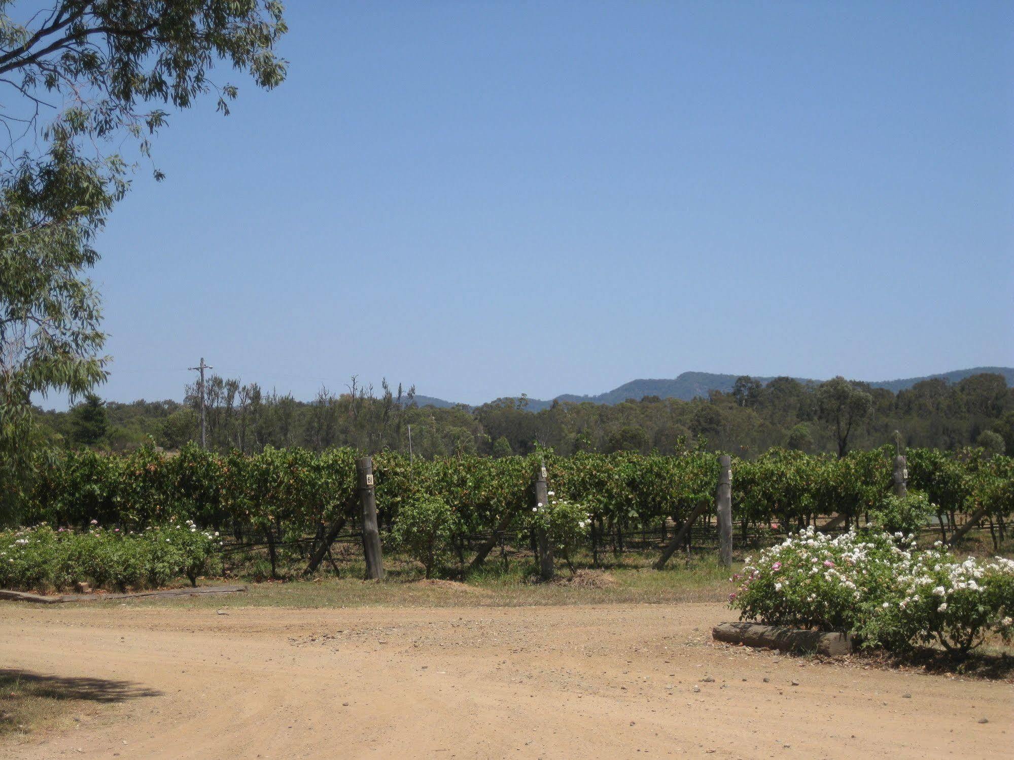 Emma'S Cottage Vineyard Lovedale Exterior photo