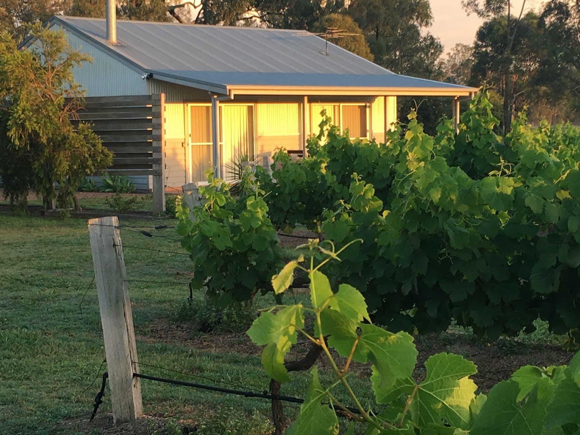 Emma'S Cottage Vineyard Lovedale Exterior photo